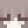 Minecraft players skin