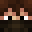 Minecraft players skin