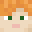 Minecraft players skin