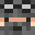 Minecraft players skin