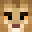 Minecraft players skin