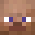 Minecraft players skin