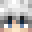 Minecraft players skin