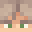 Minecraft players skin