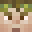 Minecraft players skin