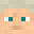Minecraft players skin