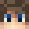 Minecraft players skin