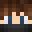 Minecraft players skin