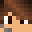 Minecraft players skin