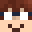 Minecraft players skin