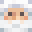 Minecraft players skin