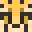Minecraft players skin
