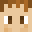 Minecraft players skin