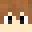 Minecraft players skin