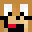Minecraft players skin