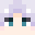 Minecraft players skin