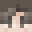 Minecraft players skin