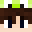 Minecraft players skin
