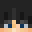 Minecraft players skin