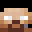 Minecraft players skin