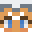 Minecraft players skin