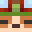 Minecraft players skin