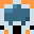Minecraft players skin