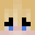 Minecraft players skin