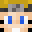 Minecraft players skin
