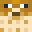 Minecraft players skin