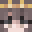 Minecraft players skin
