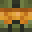 Minecraft players skin