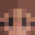 Minecraft players skin