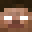 Minecraft players skin