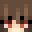 Minecraft players skin