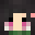 Minecraft players skin