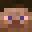 Minecraft players skin