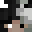 Minecraft players skin