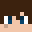 Minecraft players skin