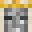 Minecraft players skin