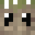 Minecraft players skin
