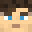 Minecraft players skin