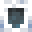 Minecraft players skin