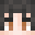 Minecraft players skin