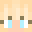 Minecraft players skin
