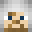 Minecraft players skin