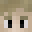 Minecraft players skin
