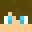 Minecraft players skin