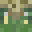Minecraft players skin