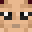 Minecraft players skin